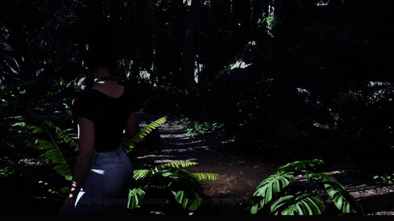 琳达在夜晚的森林中探索，四周弥漫着浓雾，令人难以分辨敌我