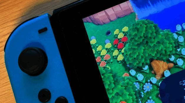 任天堂账号系统界面截图，显示验证步骤