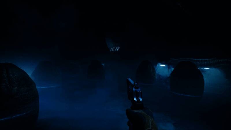 战斗场景激烈，祖拉正使用喷火器对抗一只突袭而来的异形，特效逼真