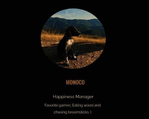 Sandfall Interactive团队成员合影，其中一只狗也出现在办公区域