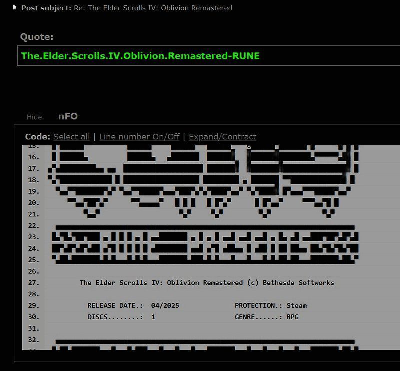 游戏LOGO与破解声明并列显示的截图