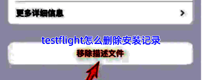TestFlight应用界面截图，展示正在进行测试应用的安装流程