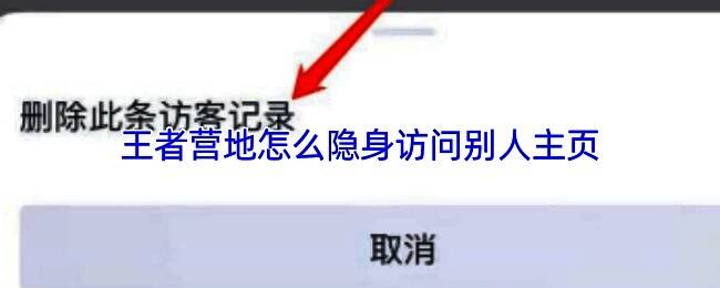 王者营地界面展示访客记录删除功能