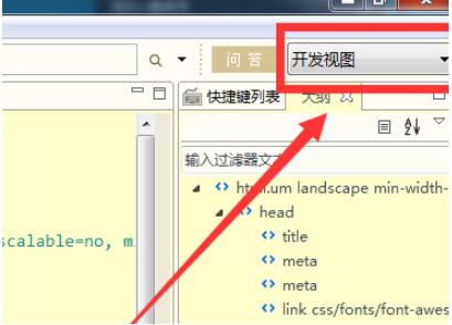 HBuilder界面左侧显示开发视图按钮，已高亮显示