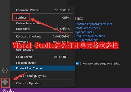 Visual Studio软件界面示意图，展示设置入口位置