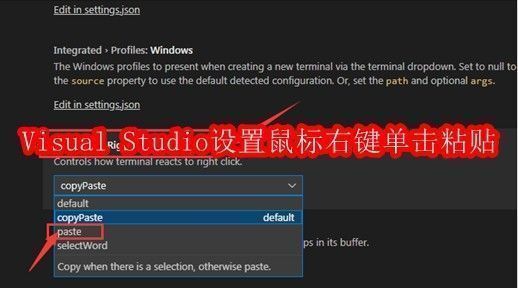 Visual Studio界面展示，左侧为代码编辑区，右侧为设置菜单高亮显示