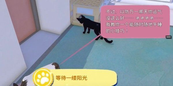 白猫兴奋地扑向装有甜甜圈的碗，尾巴高高翘起