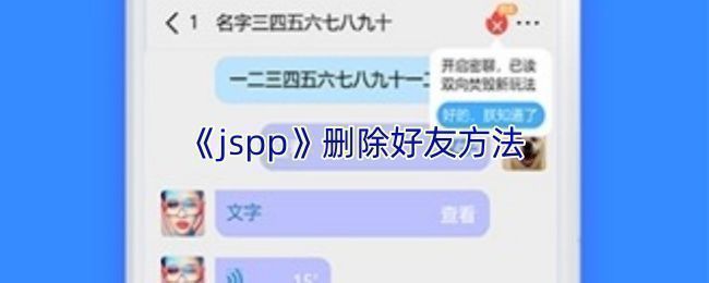 jspp软件内删除好友的操作界面截图，展示清晰的按钮路径与简洁UI布局