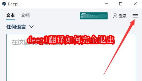 DeepL翻译软件主界面截图，界面简洁，包含输入框和翻译按钮