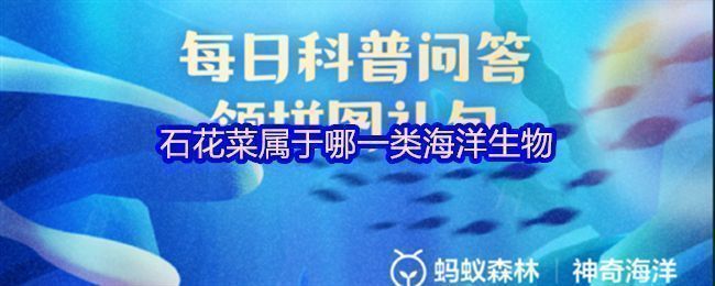 支付宝神奇海洋界面展示今日题目：石花菜属于哪一类海洋生物？选项清晰标注红藻与褐藻