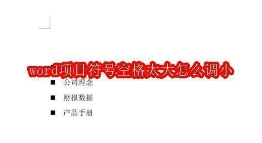 Word文档中显示项目符号与文字之间存在明显过大空隙的界面截图