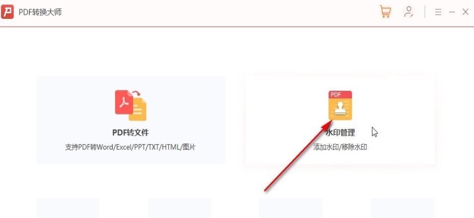PDF转换大师软件界面展示，主页面清晰显示水印管理功能入口
