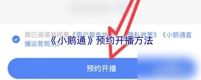 小鹅通会员开通页面，展示不同会员等级及对应权益