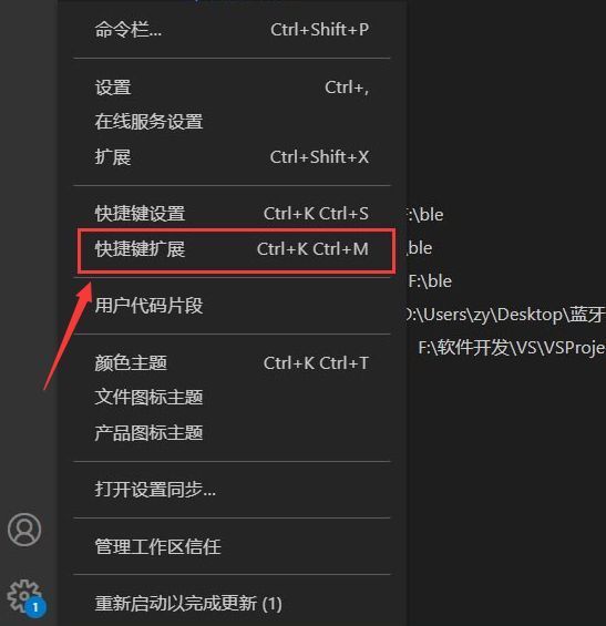 VSCode设置菜单中“快捷键扩展”选项被高亮显示，旁边列出多个IDE图标供选择