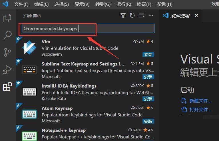 VSCode扩展市场搜索栏中输入@recommended:keymaps，下方列出多个键位映射插件，包括IntelliJ、Sublime等