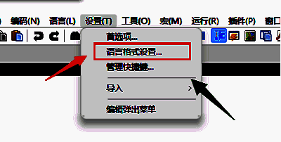 语言格式设置窗口界面，左侧为语言列表，右侧为色彩样式选项，界面清晰展示各项可调参数