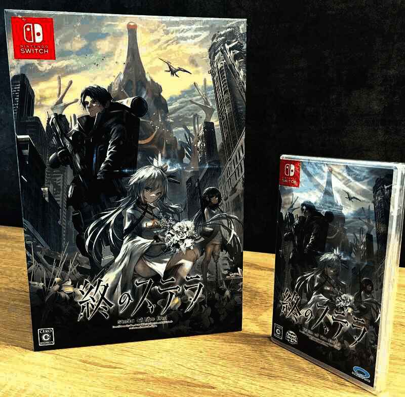 《星之终途》Switch版游戏封面，画面中主角与仿生人少女并肩站在荒芜大地之上，远处星空璀璨，充满未来感与孤独氛围