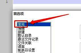常用设置页面中，标签栏选项下‘为激活标签绘制橙色条’被勾选中