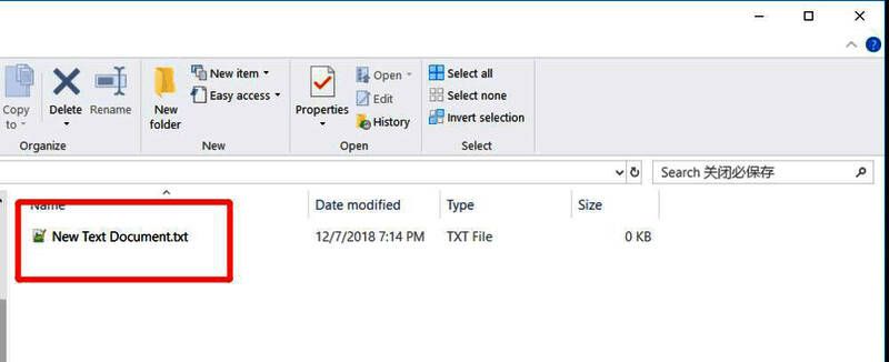 Notepad++界面展示新建文件并输入文本的过程