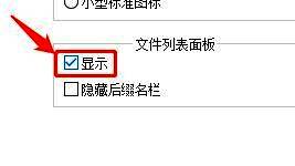 文件列表面板设置项，显示复选框已被勾选
