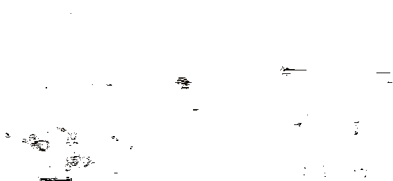 双指缩放大地图操作演示动图，手指滑动后地图迅速放大，显示详细地形与路径