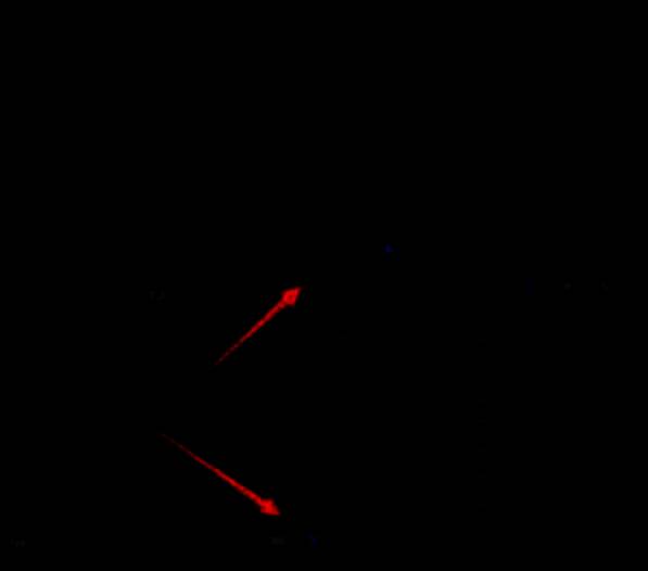 用户正在将视频文件从项目面板拖拽至时间线第一轨道