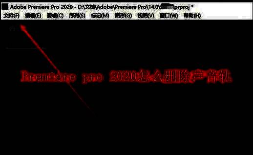 Premiere Pro 2020主界面展示，左侧为项目面板，右上方为预览窗口