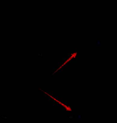 序列设置界面，展示新建序列的参数选项