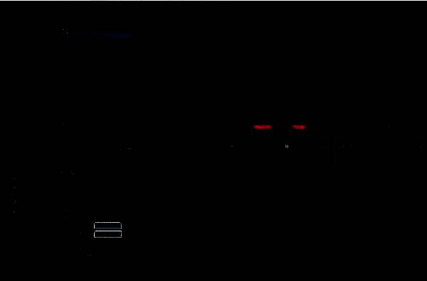 点击播放停止切回按钮，结束录音流程