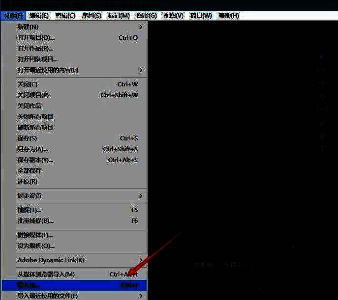 文件导入对话框，显示多种视频文件