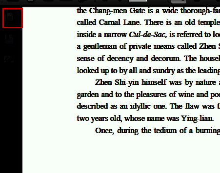 左侧页面缩略图面板展开状态，多个页面缩略图整齐排列，便于用户查看和选择
