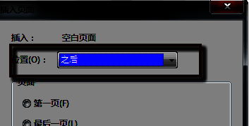 插入空白页对话框，展示插入位置与页数选择界面