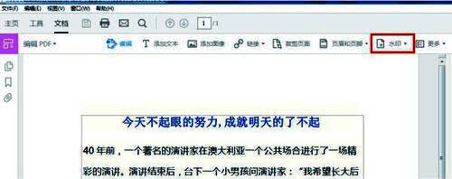 水印功能界面，显示‘添加’和‘更新’两个主要按钮