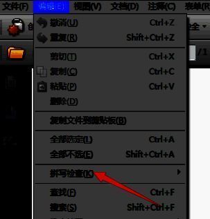拼写检查子菜单，包含注释和可编辑文本选项