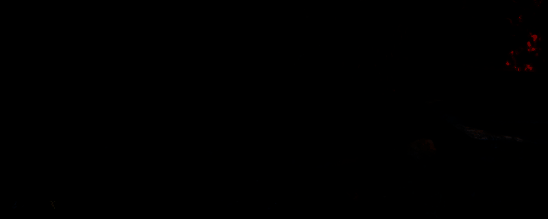 《迷宫：德古拉的巢穴》游戏场景截图，昏暗的古堡走廊中烛光摇曳，石墙布满裂痕，营造出神秘恐怖的氛围