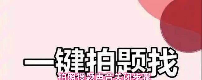 手机屏幕显示拍照搜题界面，上方有明显的拍照按钮和声音提示图标