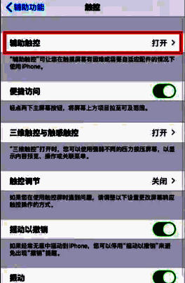 辅助触控已开启，屏幕上显示白色圆形悬浮球