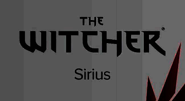 概念艺术风格的《巫师》宇宙多人游戏场景，展现多人组队探索神秘遗迹的画面