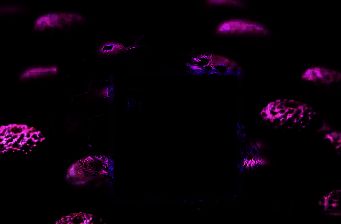 Adobe Premiere Pro CS6软件启动界面，桌面图标清晰可见，欢迎界面中‘新建项目’按钮被红框标注