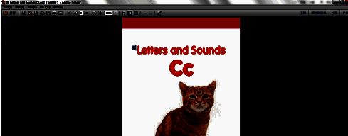 Adobe Reader XI中打开PDF文件的初始界面，显示为单页视图