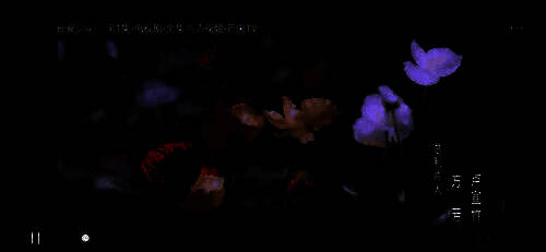 视频右下角显示方向切换按钮，提示用户可点击调整屏幕方向