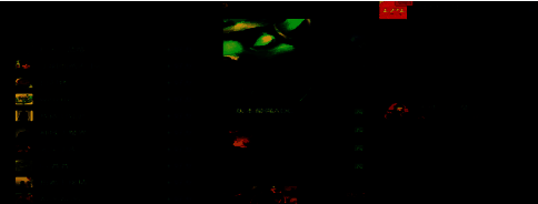 游戏好友推荐界面，按游戏区服展示可添加的玩家