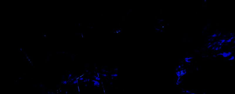 《艾尔登法环：黑夜君临》结局动画截图，画面呈现灰暗色调下的巨大神像与跪拜人影，氛围神秘而压抑