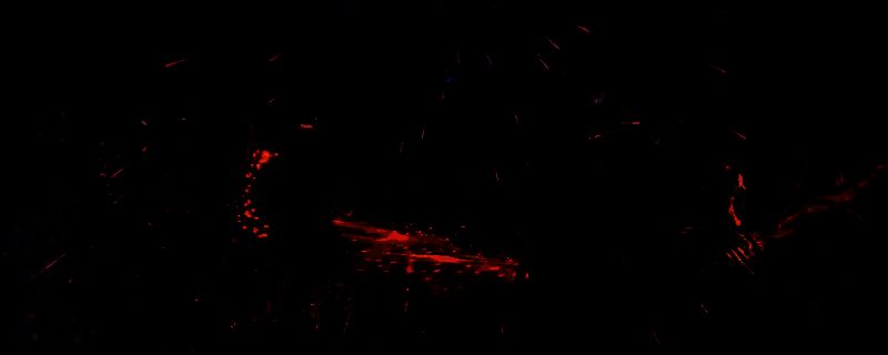 《艾尔登法环：黑夜君临》中执行者职业战斗画面，角色手持太刀进行高速突刺与弹刀操作，背景为暗色调的哥特式建筑群