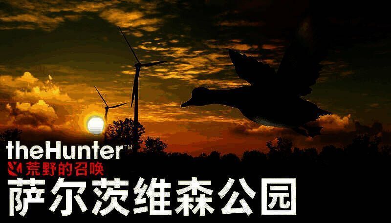 萨尔茨维森公园DLC场景截图，湿地晨雾弥漫，猎人蹲伏于掩体后观察远处鸭群