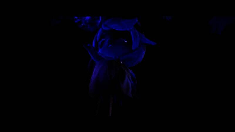 暖暖与伙伴在古老遗迹前并肩而立，背景是残破的神殿与漂浮的光点