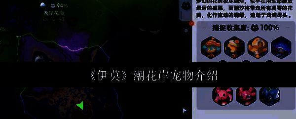 潮花岸全景地图示意，水道蜿蜒，花岛点缀，夜空流星划过