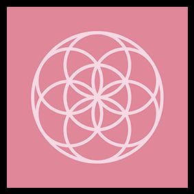 游戏标题LOGO艺术图，《Axolotl Shaman》字母由藤蔓与水波纹缠绕而成，整体风格神秘且富有生命力