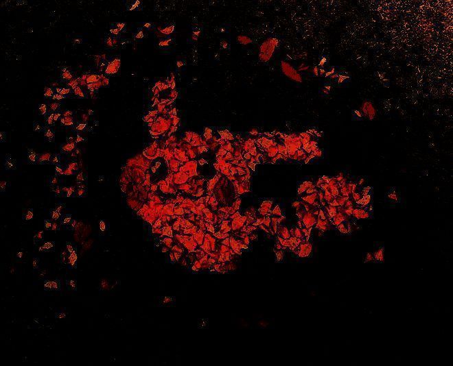 网友用枯黄落叶拼贴出的皮卡丘艺术作品，背景为自然草地，画面充满秋日氛围