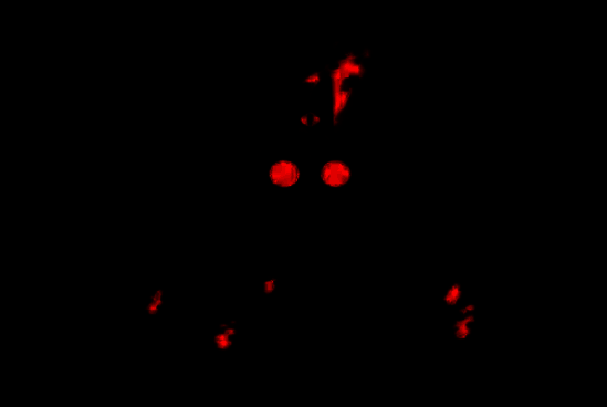 游戏中玩家角色佩戴红眼冠变身圣羊的立绘，身披长袍，眼神坚定，背景为燃烧的祭坛与信徒剪影